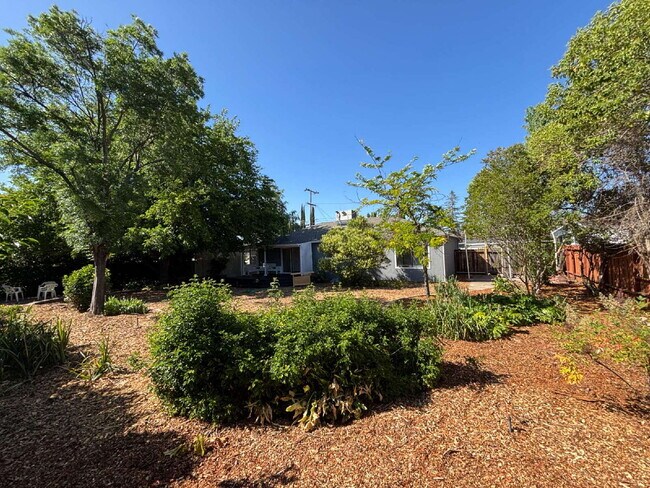 Building Photo - Completely Renovated Concord Retreat: Cozy...