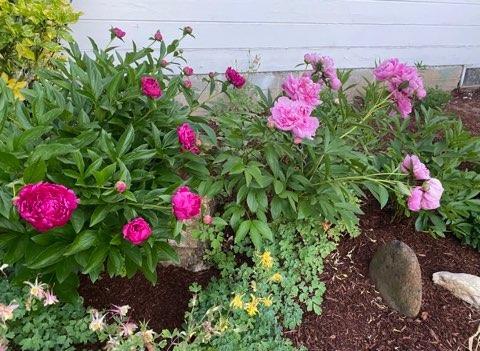 Building Photo - 110 6th St