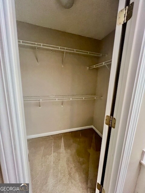 Building Photo - 2915 White Blossom Ln