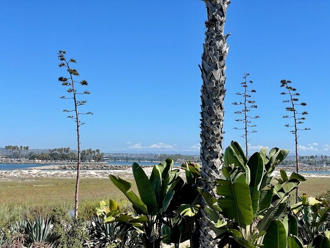 Building Photo - Furnished Beach front House in OB One Month Minimum Rental