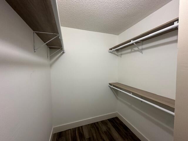 Building Photo - 7824 Sonoma Springs Cir