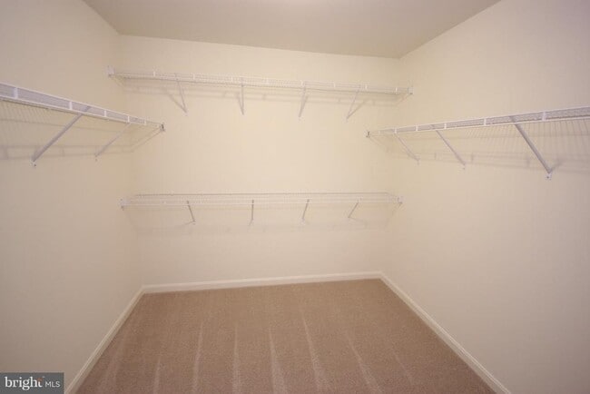 Building Photo - 21517 Willow Breeze Sq