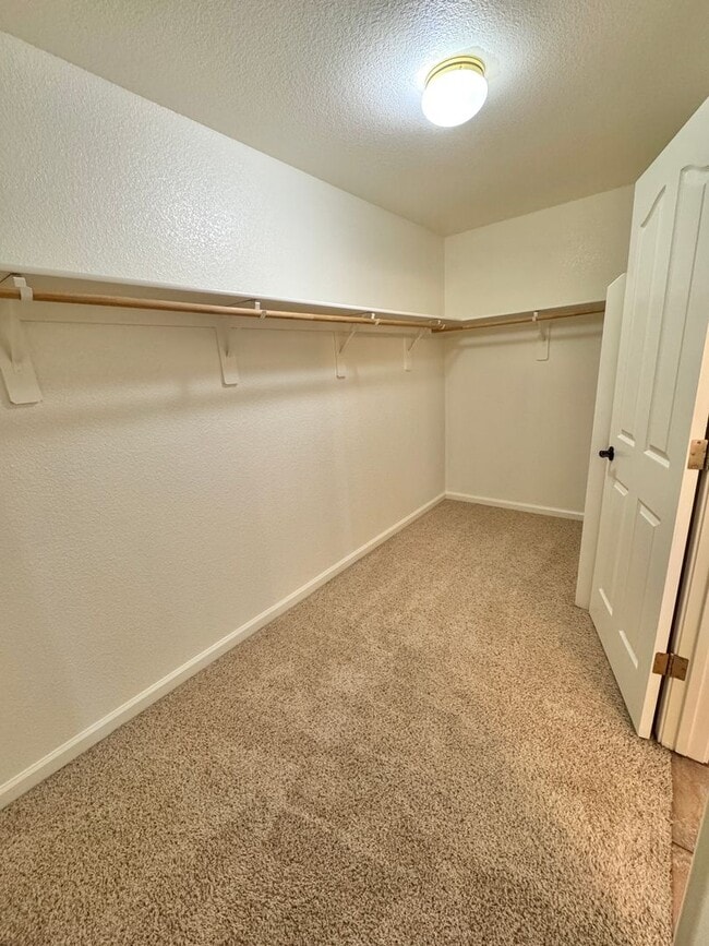 Building Photo - 2520 Napoli Dr
