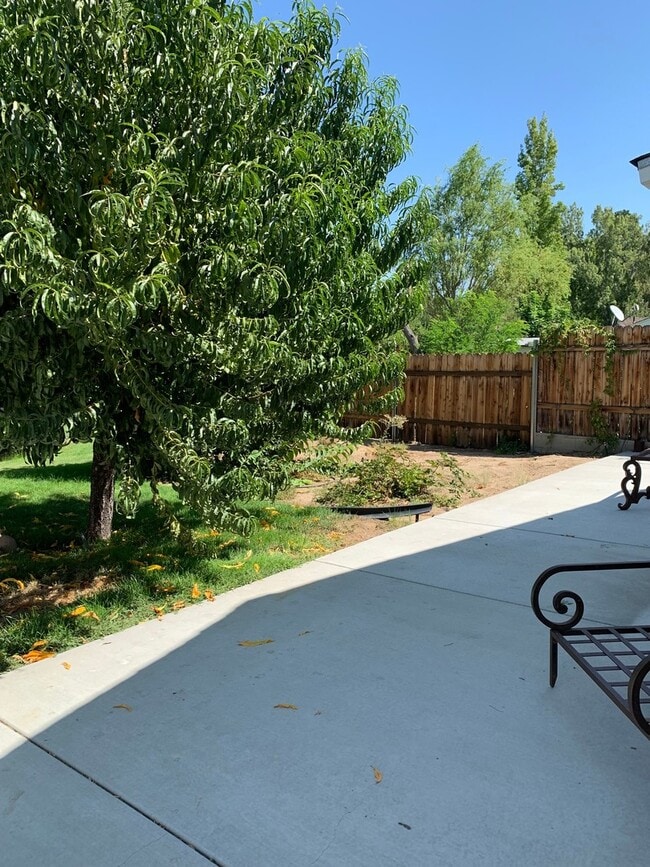 Building Photo - Studio