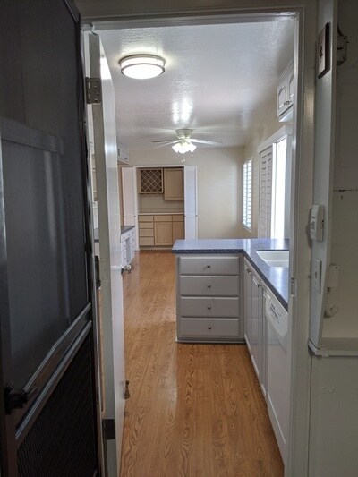 Building Photo - 2940 Mauricia Ave