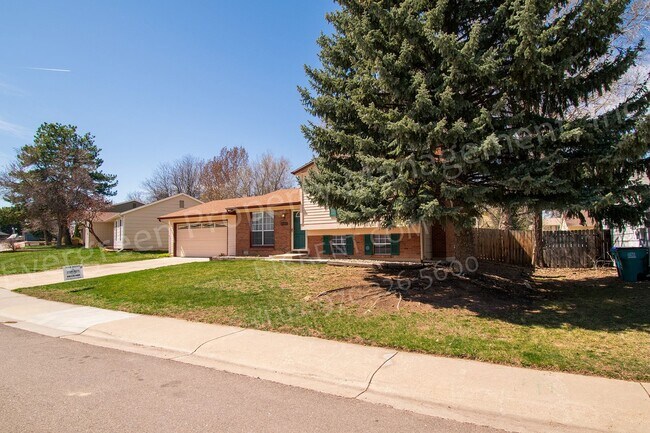 Building Photo - 4337 Hummingbird Dr