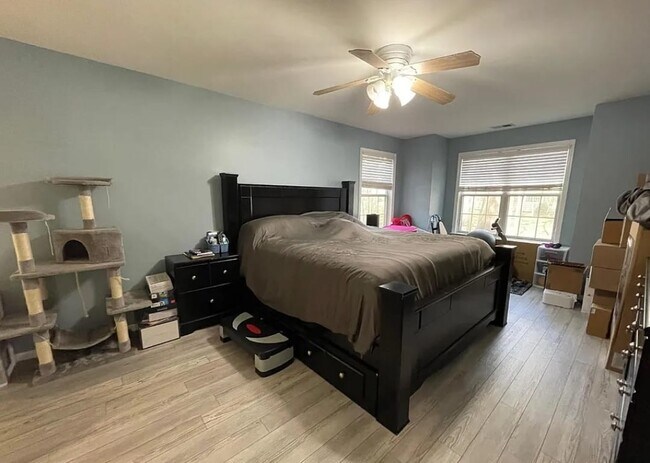 Building Photo - 802 Meadow Ct