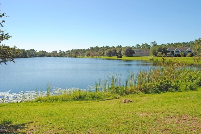 Building Photo - 31183 Paradise Commons