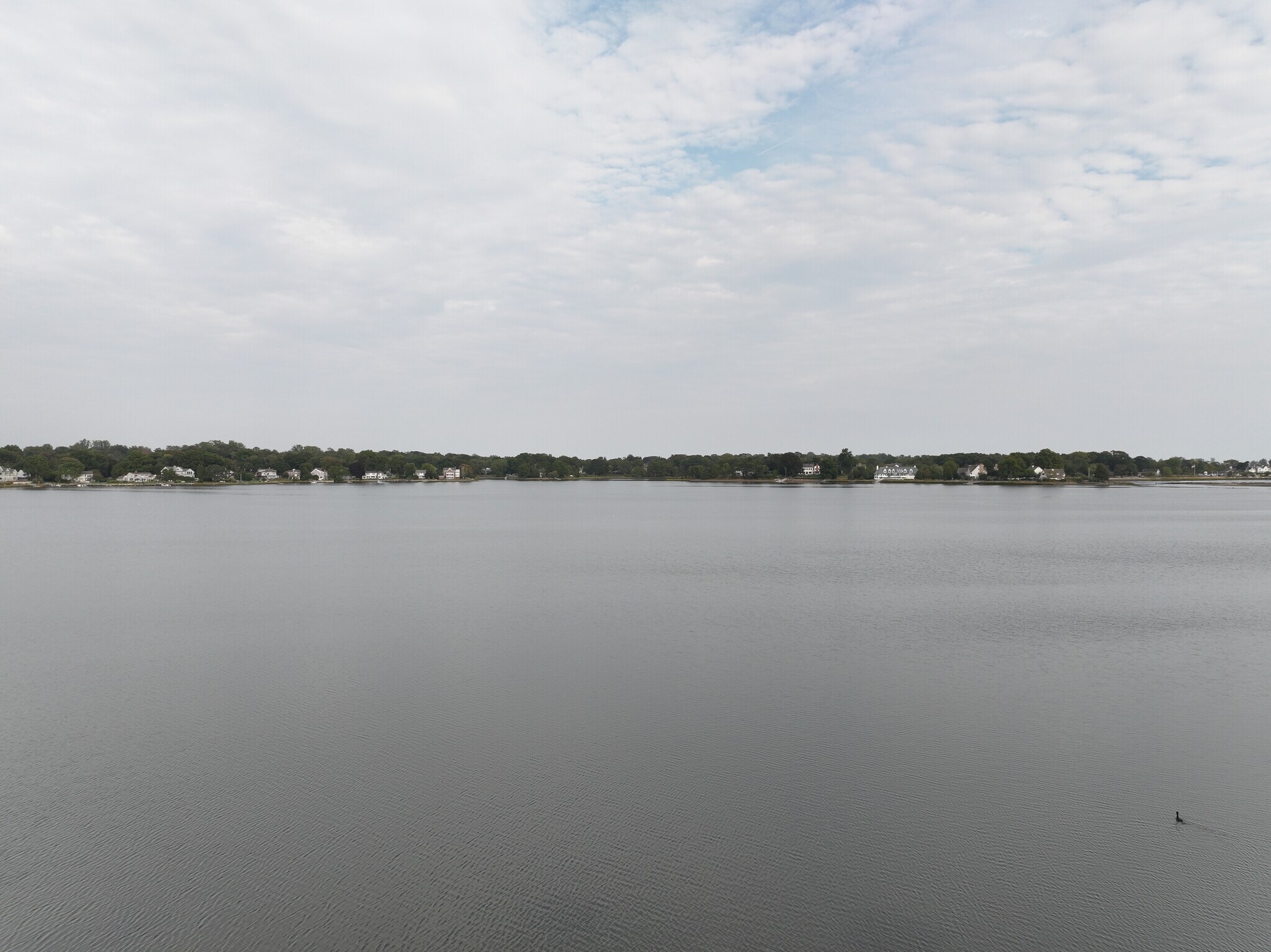 Building Photo - 267 Weed Ave