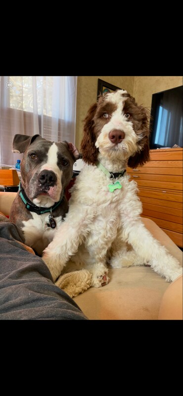 Building Photo - 315 Bomar Pl