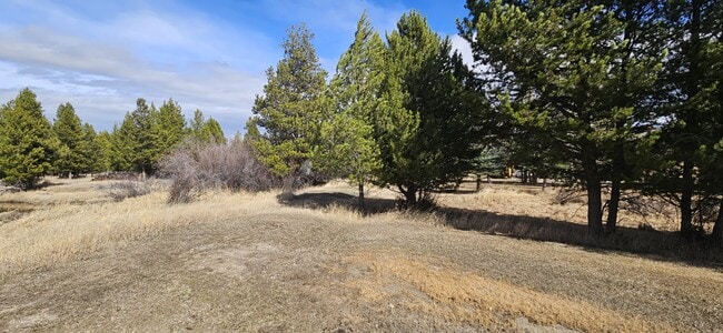 Building Photo - 7 Bert Rd