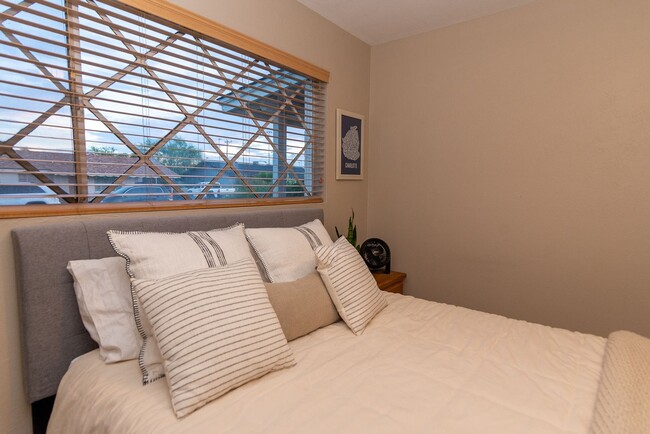 Building Photo - Charming 3BR House in Scottsdale