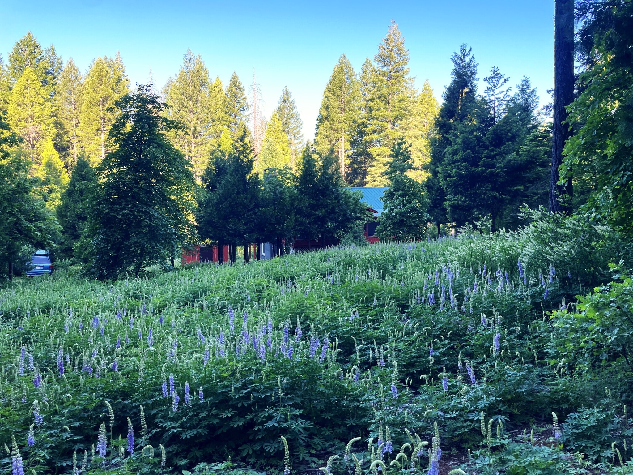 Building Photo - 11110 Fletcher Ct