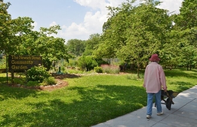 Neighborhood Community Garden - 3880 Rodman Street NW