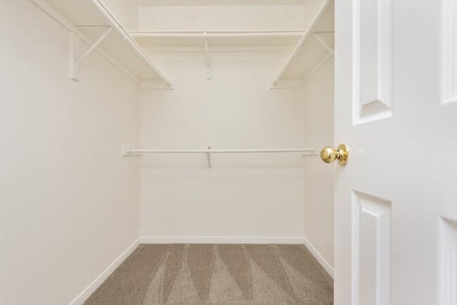 Building Photo - 2103 Aruba Calle