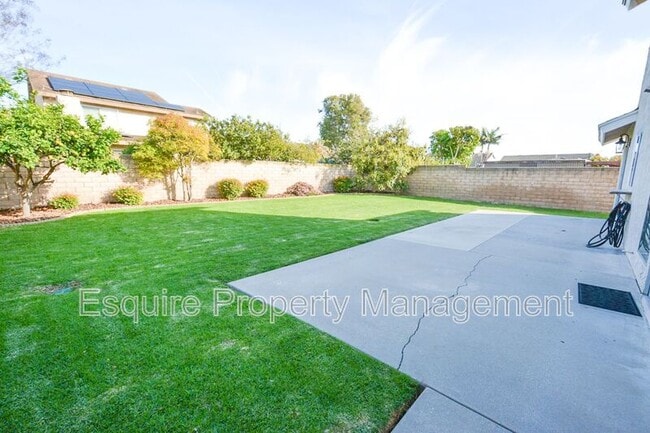 Building Photo - 1170 Novato Dr