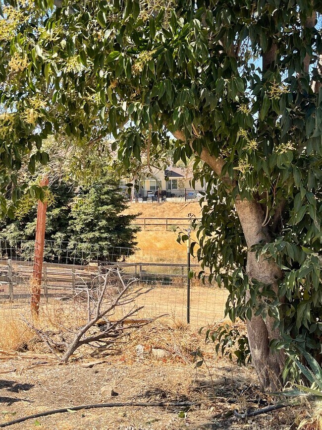 Building Photo - 5-Bedroom, 3-Bathroom Home for Rent on 1-A...