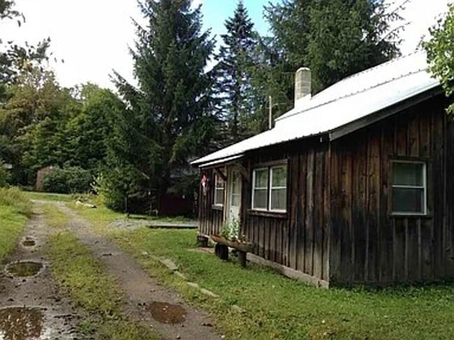 Building Photo - Cozy 3-Bedroom Home with Private Yard in Livingston Manor for November 1st!