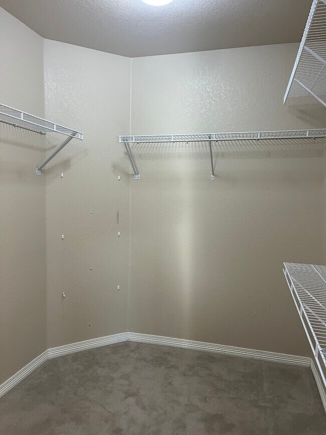 Building Photo - 964 Pyxis Dr