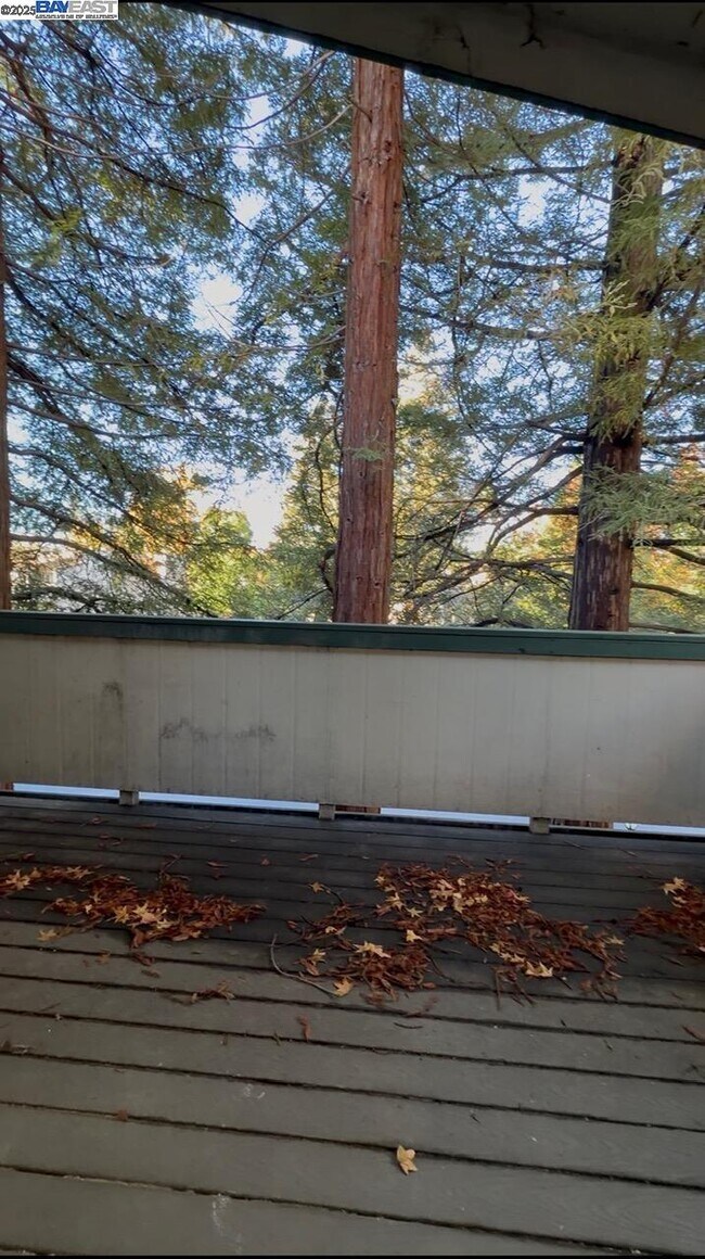 Building Photo - 5425 Concord Blvd