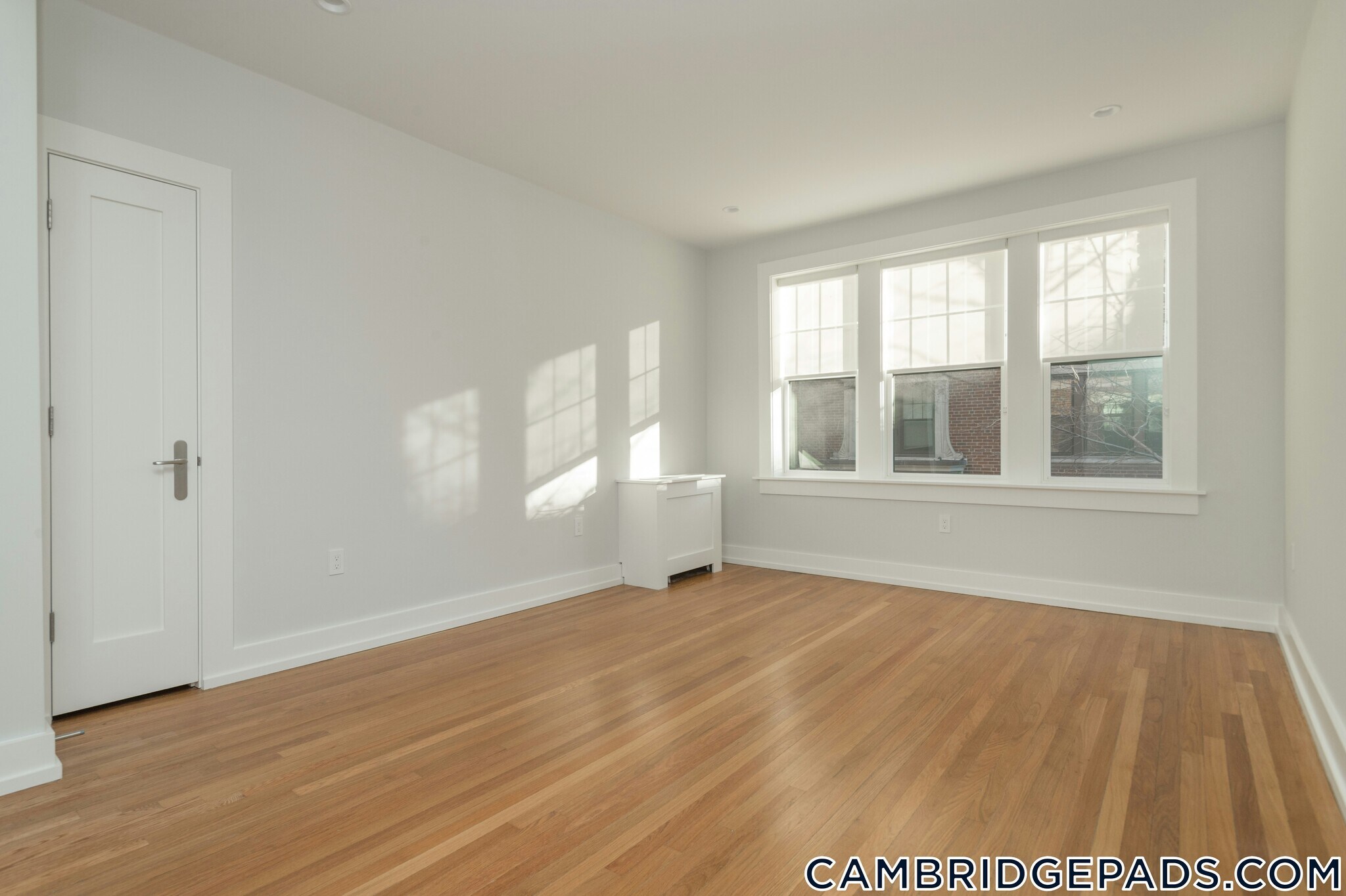 Building Photo - 17 Forest St