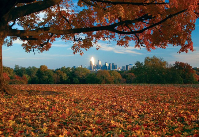 Belmont Plateau - 10 min - 6119 W Columbia Ave