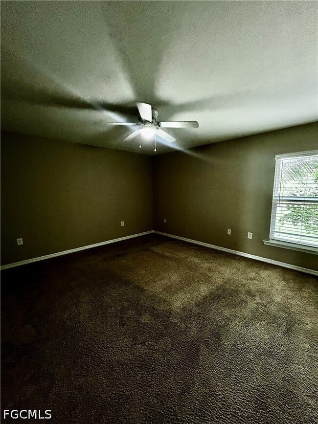 Building Photo - 12117 Palm Cove St