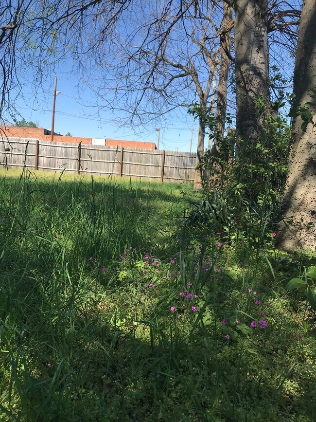 Building Photo - 1001 S 8th St