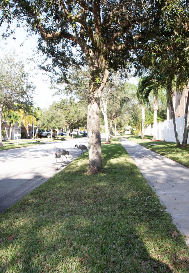 Building Photo - 6140 Santa Margarito Dr
