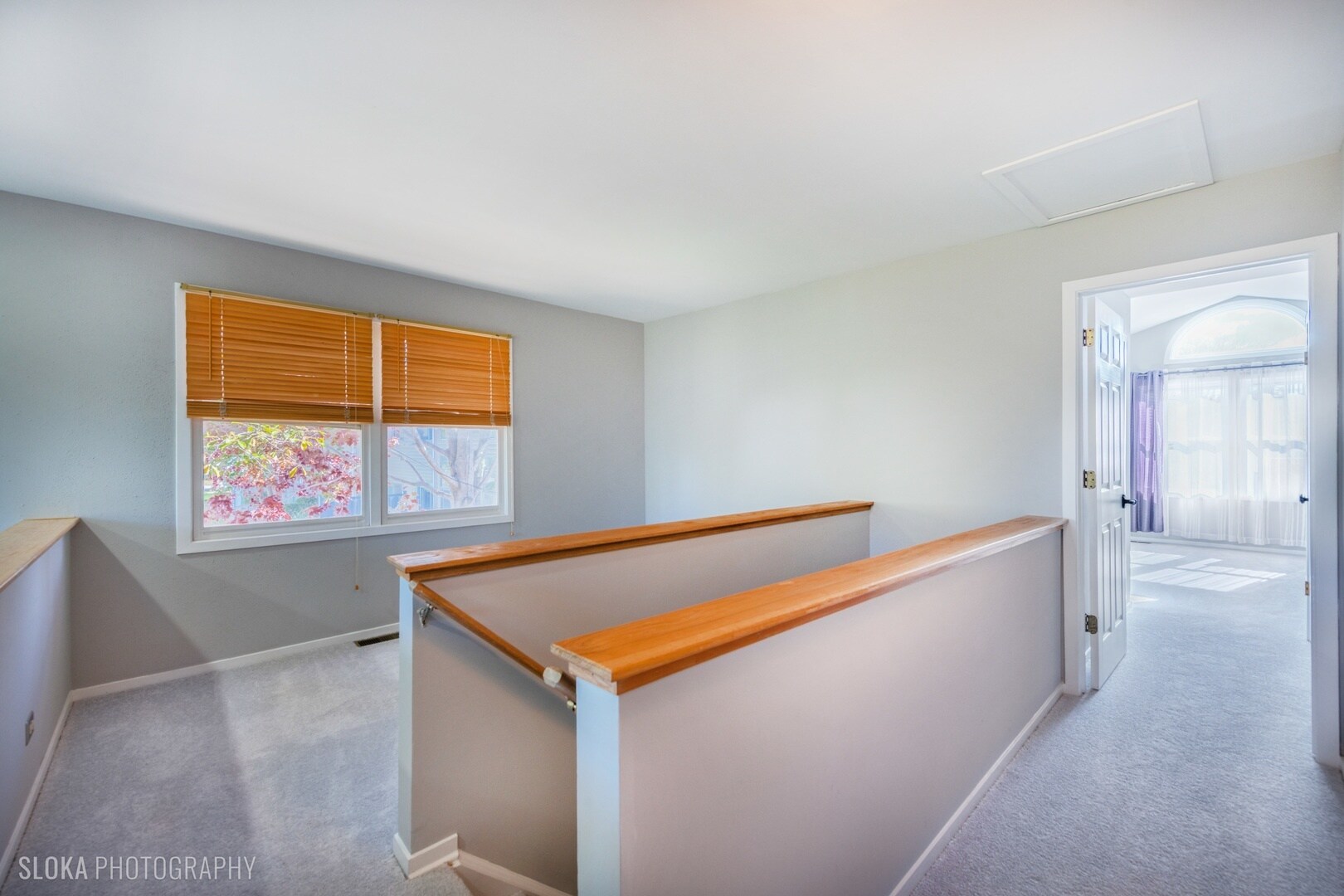 Building Photo - 2342 Hamilton Pl