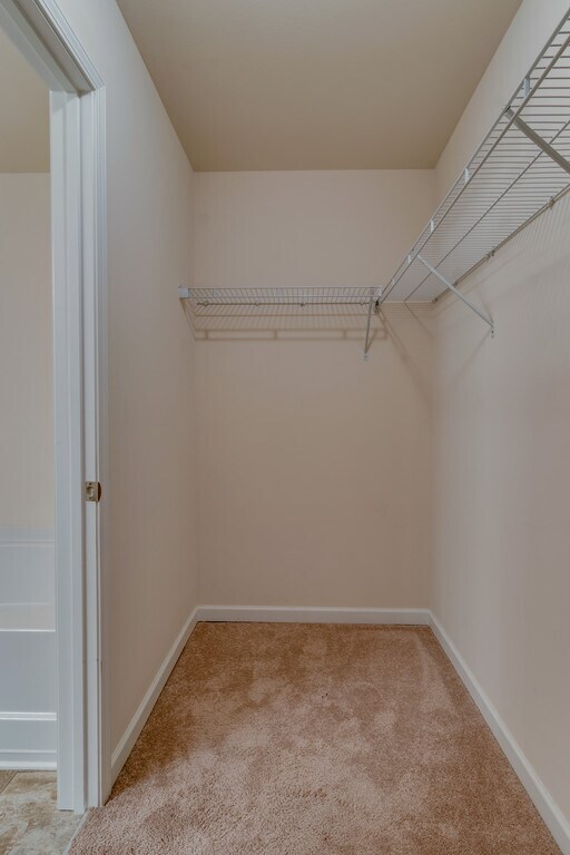 Building Photo - 4 BR/2.5 BA Home - A Rare Rental Between C...