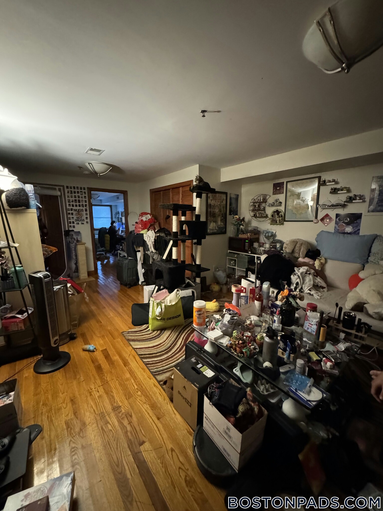 Building Photo - 102 Allston St