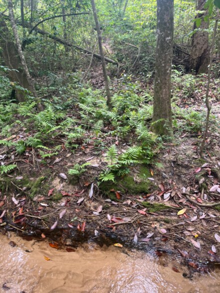 Building Photo - 7597 Northpointe Blvd