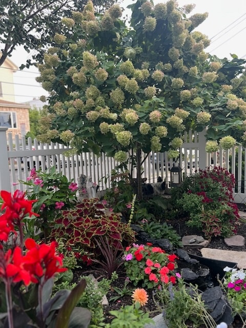 Building Photo - 45 Franklin St