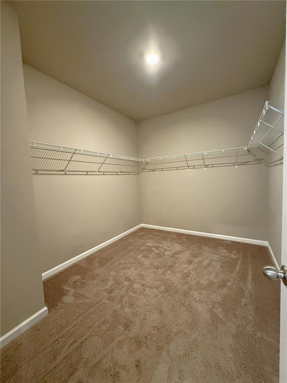 Building Photo - 827 Wellford Ave