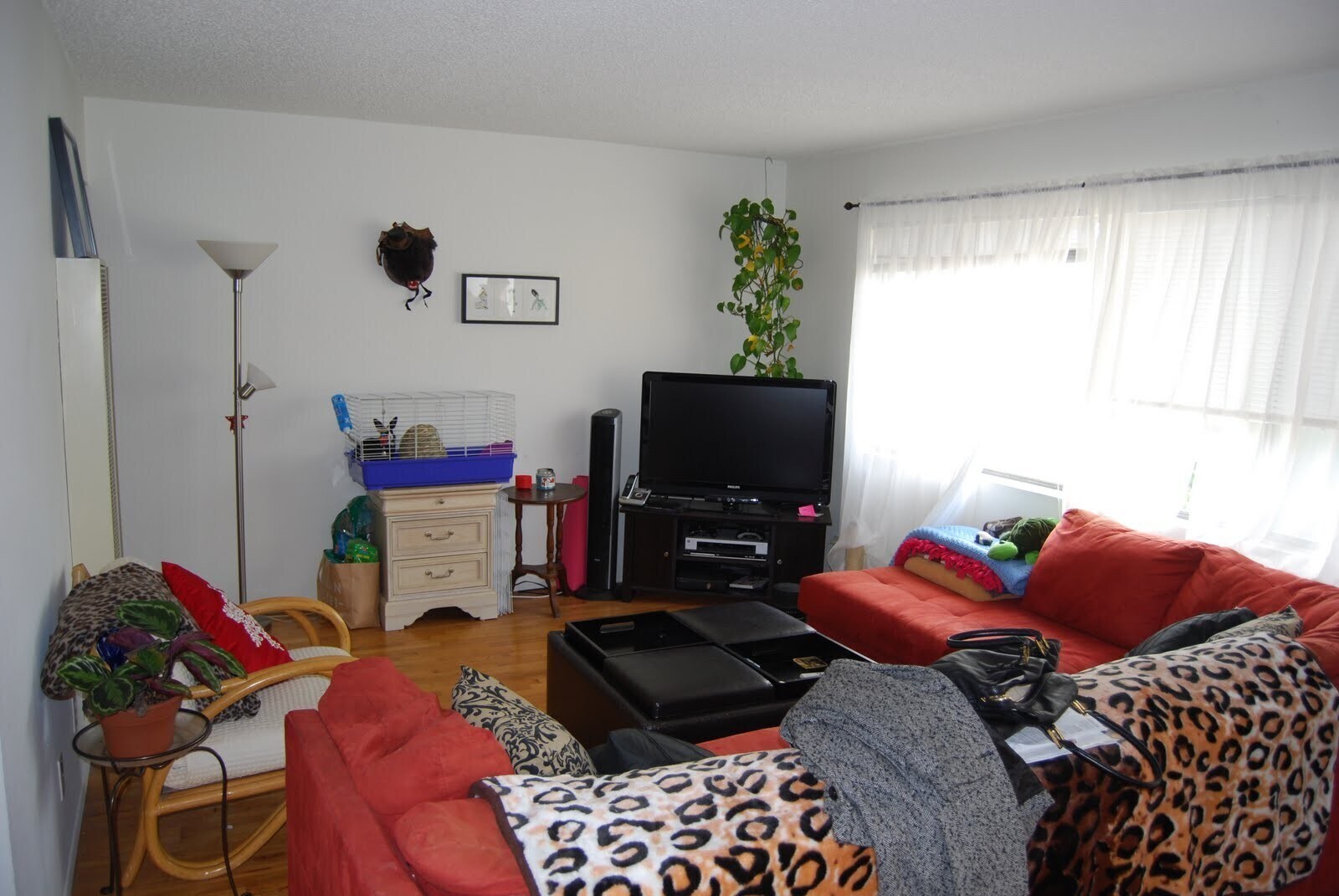 Building Photo - 2011 Rockefeller Ln