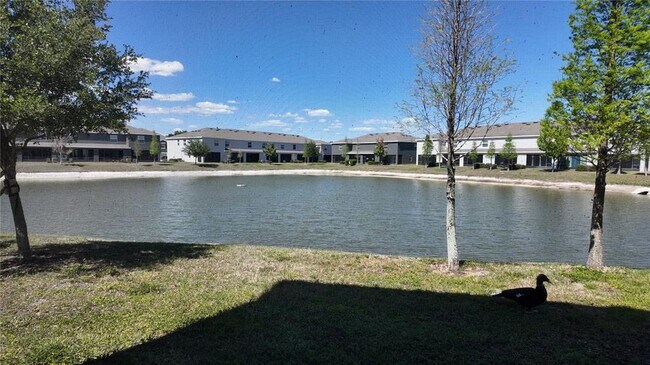 Building Photo - 8648 Falling Blue Pl