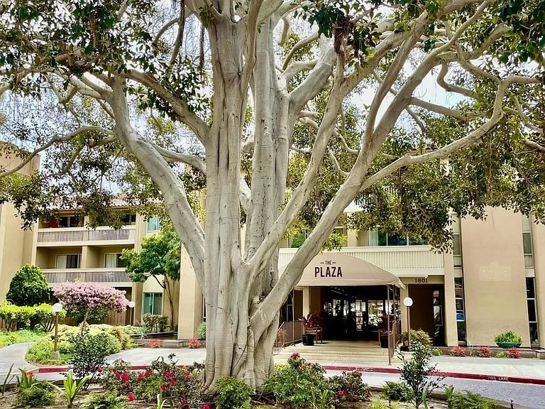 Main entrance to the complex - 4600 Lamont St