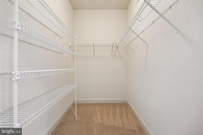 Building Photo - 448 Salk Cir
