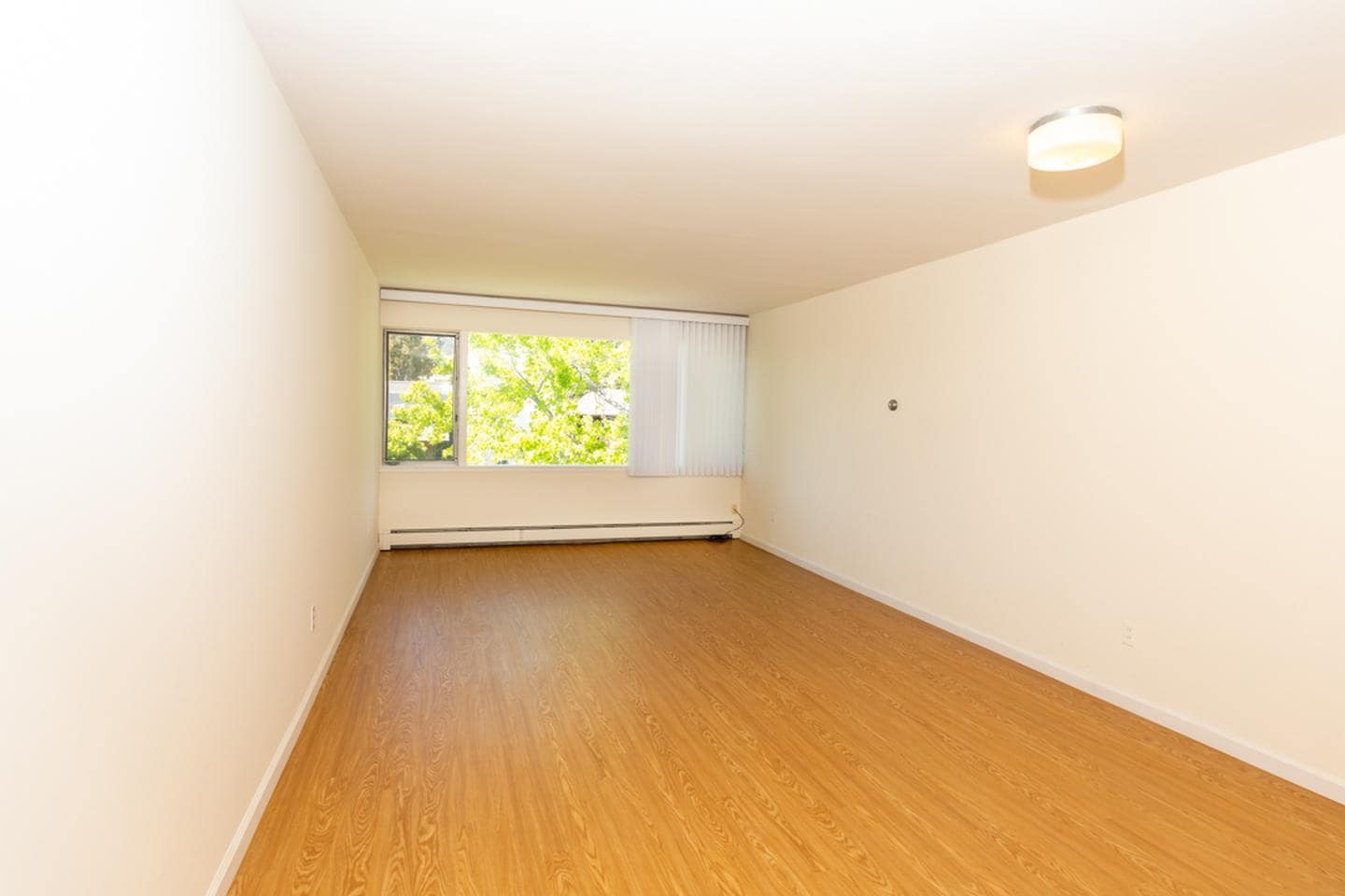 Building Photo - Elmwood 2 bed 1 bath condo great location