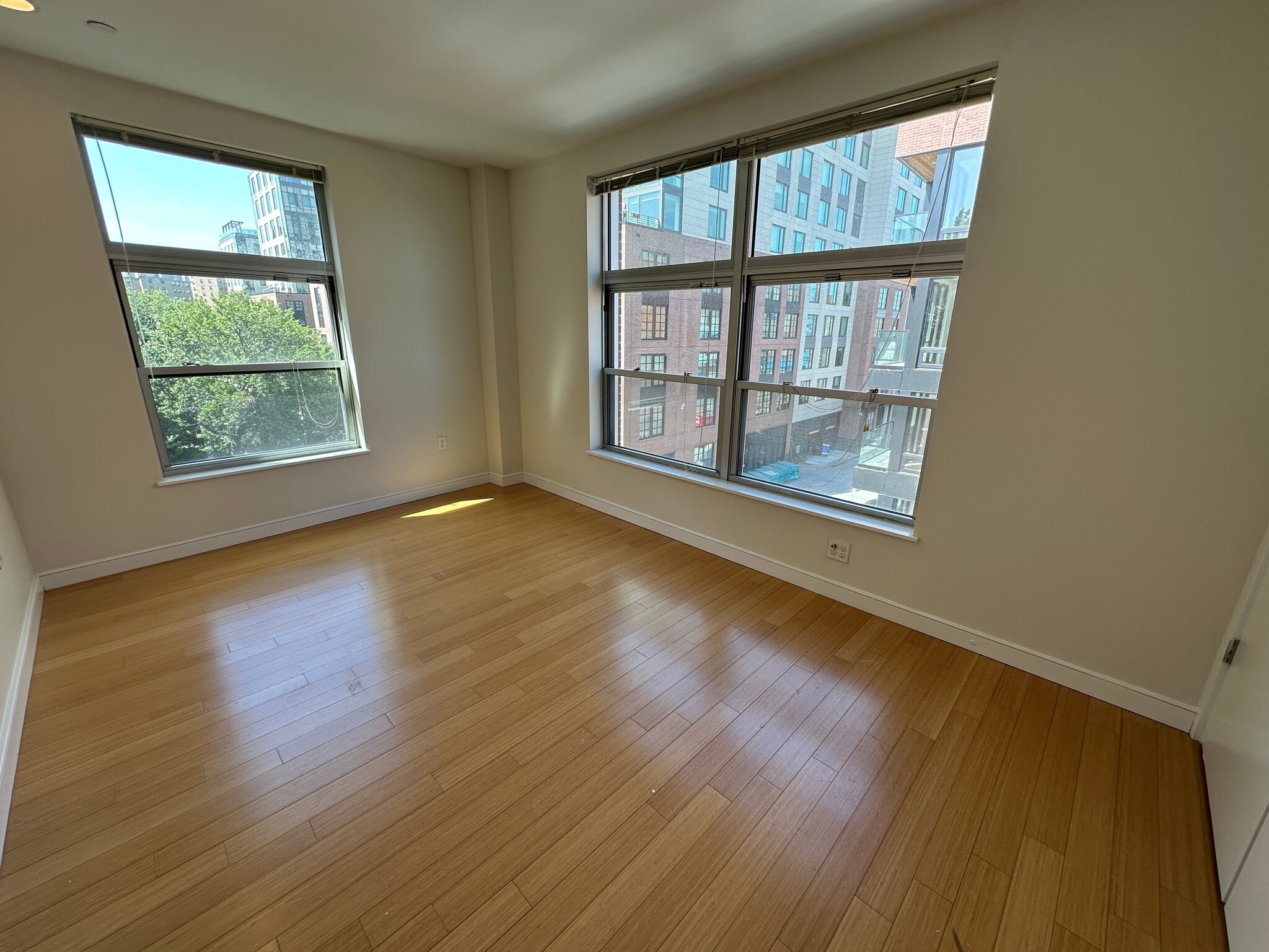 Building Photo - 591 Albany St