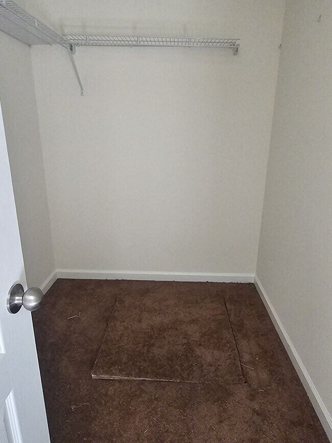 Building Photo - Brand New luxury home!