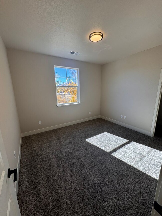 Building Photo - NEW! 3/2.5/2 Townhome in Gardnerville