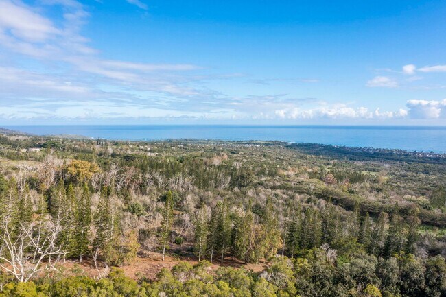 Building Photo - Brand-New 2BR/2BA Home with A/C & Huge Covered Lanai – Wailuku Country Estates