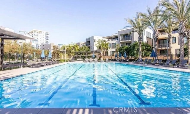 Primary Photo - 2536 Nolita