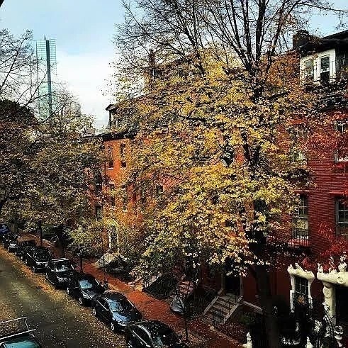 Building Photo - 231 Shawmut Ave