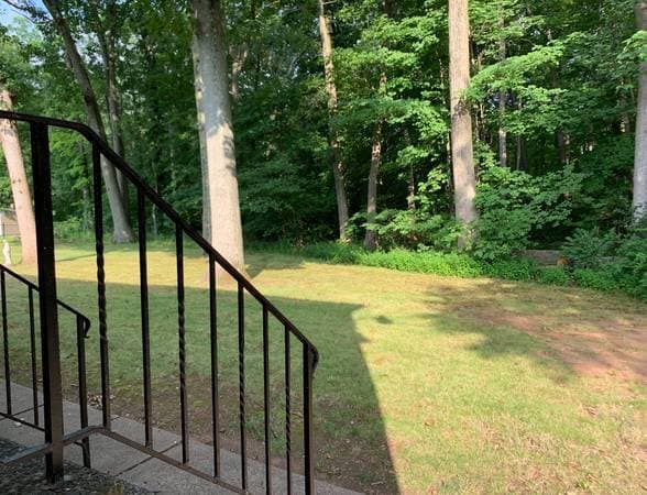 Wooded back yard (Farmington) - 1310 Slater Rd