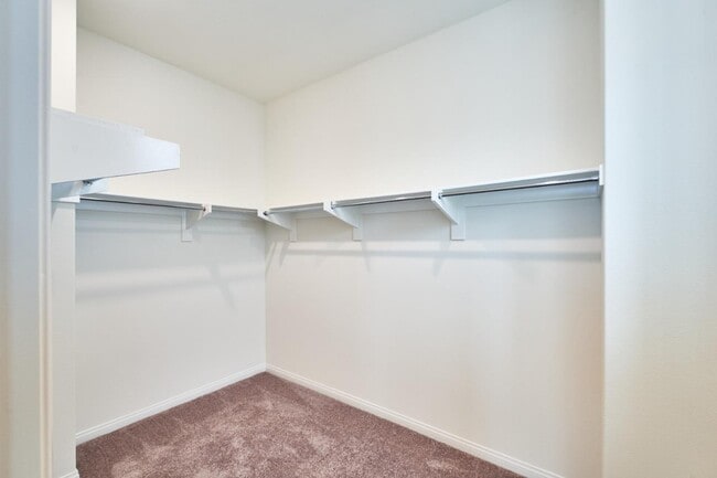 Building Photo - 729 Daniel Freeman Cir