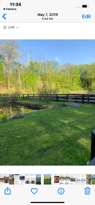 Building Photo - 427 Birdsall Dr