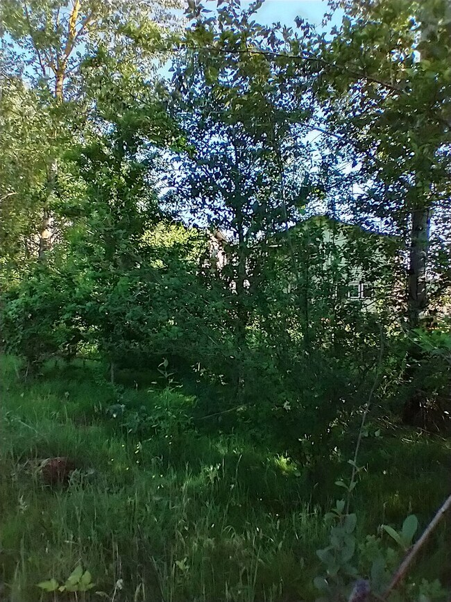 Building Photo - 12003 SE High Creek Rd